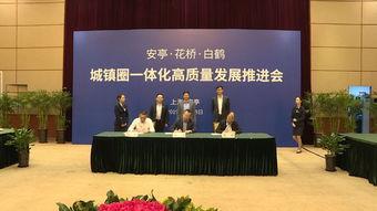 嘉定新闻爆料事件,揭秘背后真相与影响