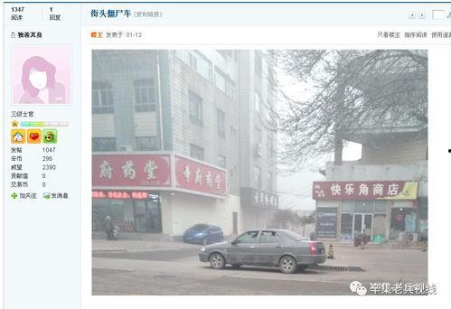 石家庄辛集最新爆料,揭秘石家庄辛集热点事件背后的真相 第3张 石家庄辛集最新爆料,揭秘石家庄辛集热点事件背后的真相 第3张